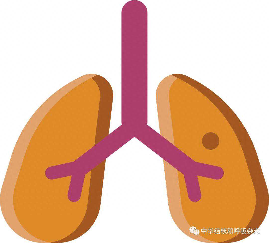 【病例报告】肺动脉支架置入治疗慢性血栓栓塞性肺动脉高压2例