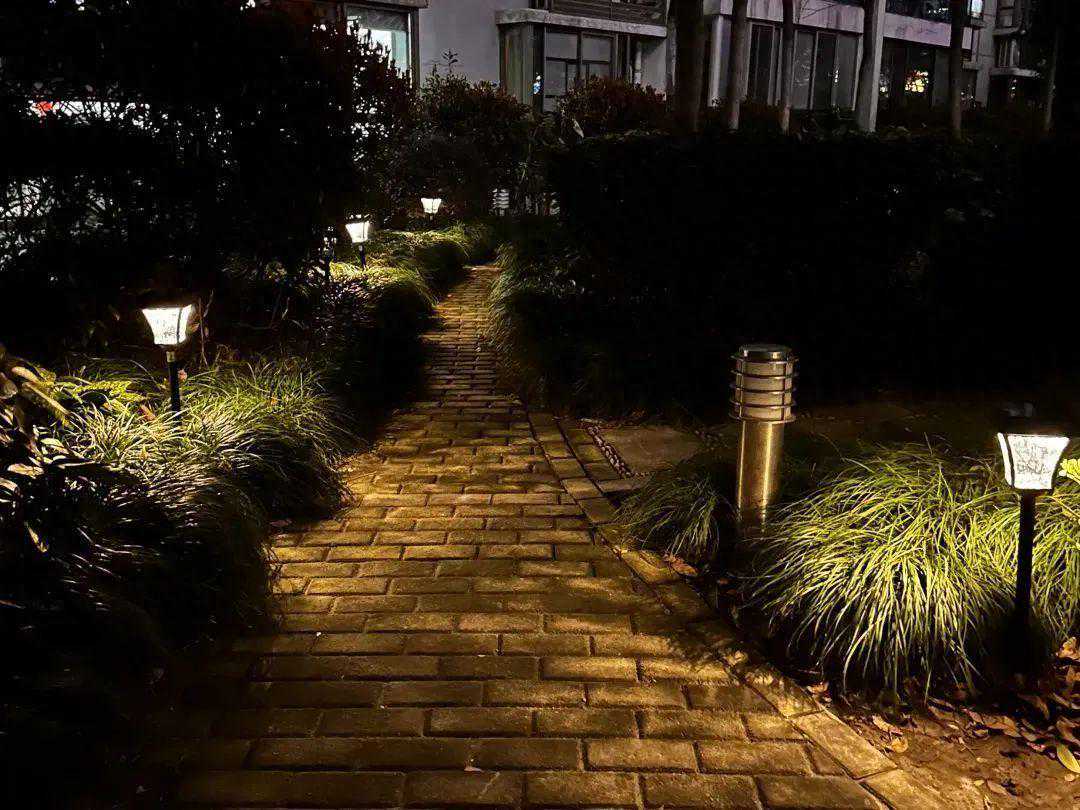 青春光芒照亮社区：城市照明构建社区新活力