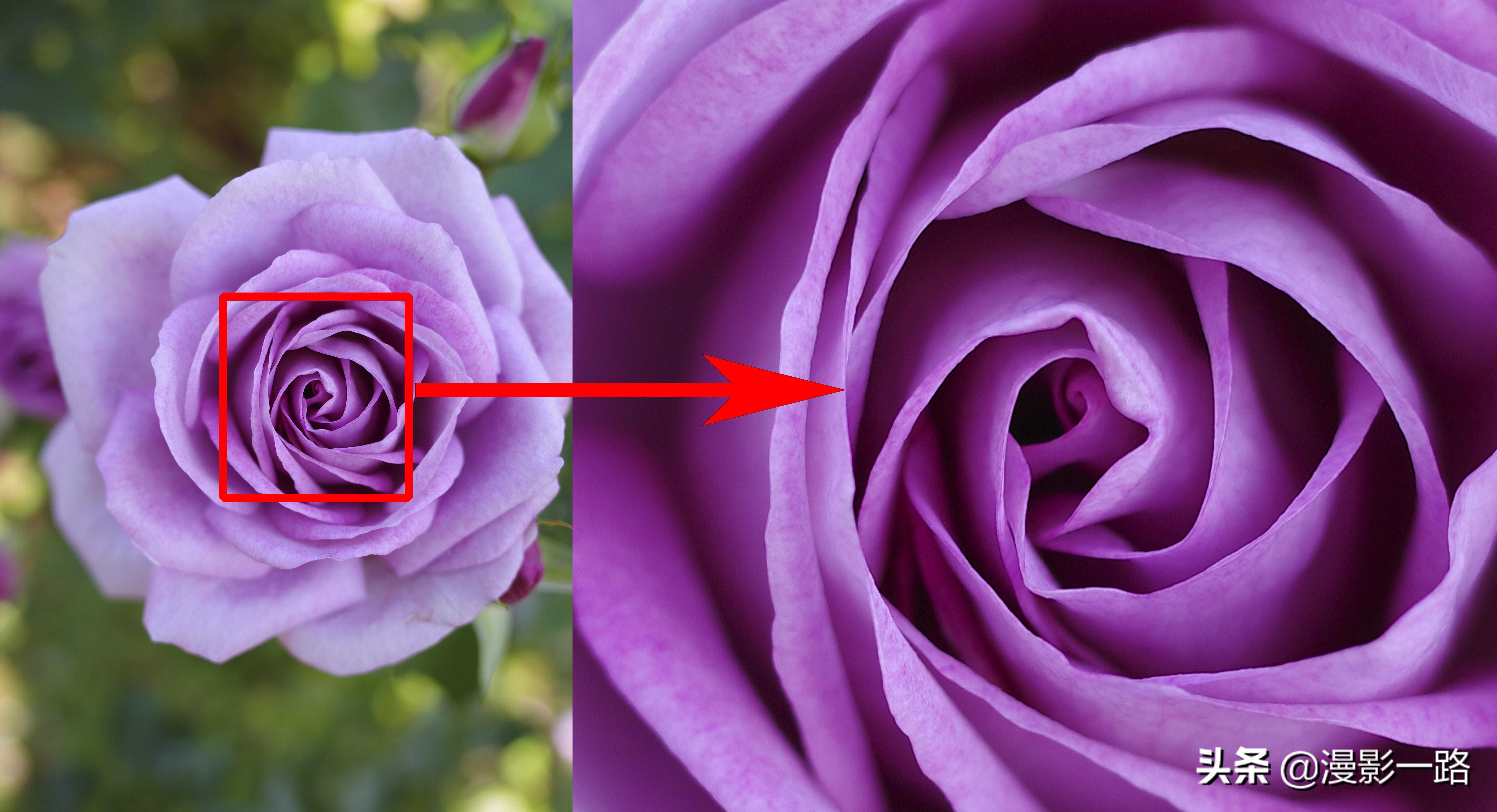 理光GR III数码相机还是街拍神器吗？对比GRII有哪些优势和不足？