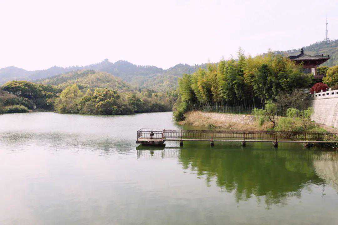 白衬衫的小姐姐迷人吗