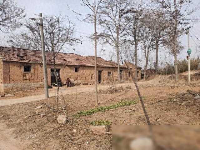 外国女性加入中国婚恋市场竞争引关注，"剩女"现象可能加剧