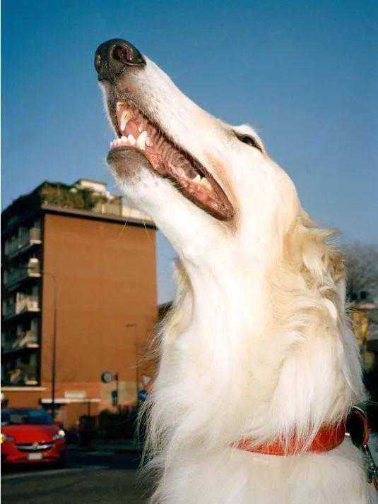 数码盛行的当下，胶片摄影还会被需要吗？