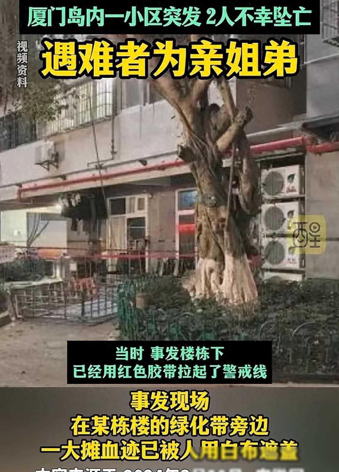 又出惨案！不到3秒姐弟俩相继从12楼坠亡，外卖员惊恐：溅我一