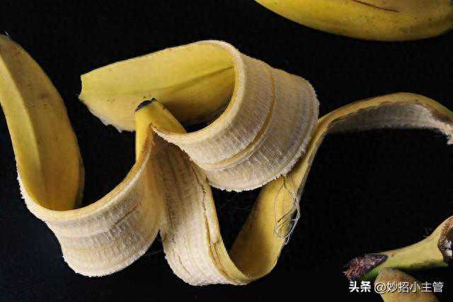 香蕉皮扔掉，相当于扔钱？一年能省几百元，不知道的就亏大了！