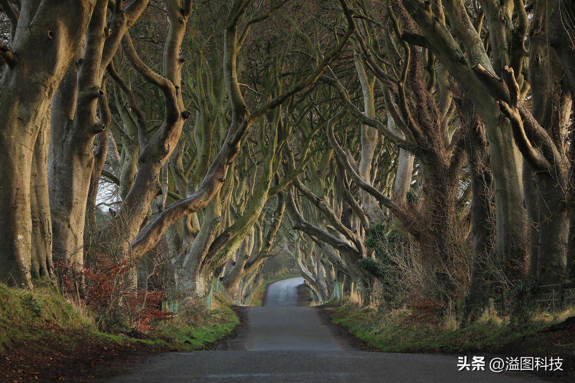 简评 | 佳能750D/760D数码单反, EOS M3微单