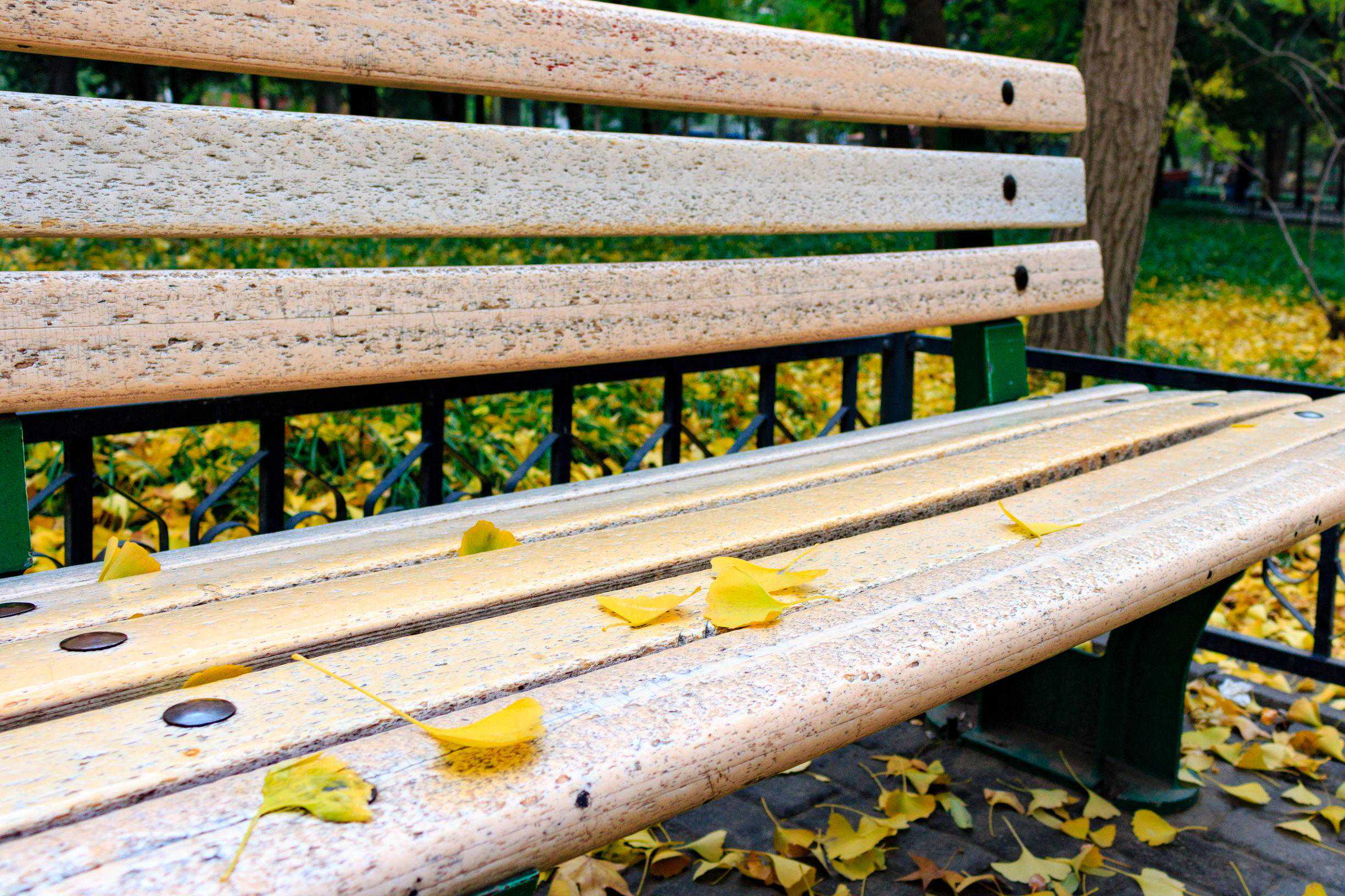 数码相机的拍摄模式