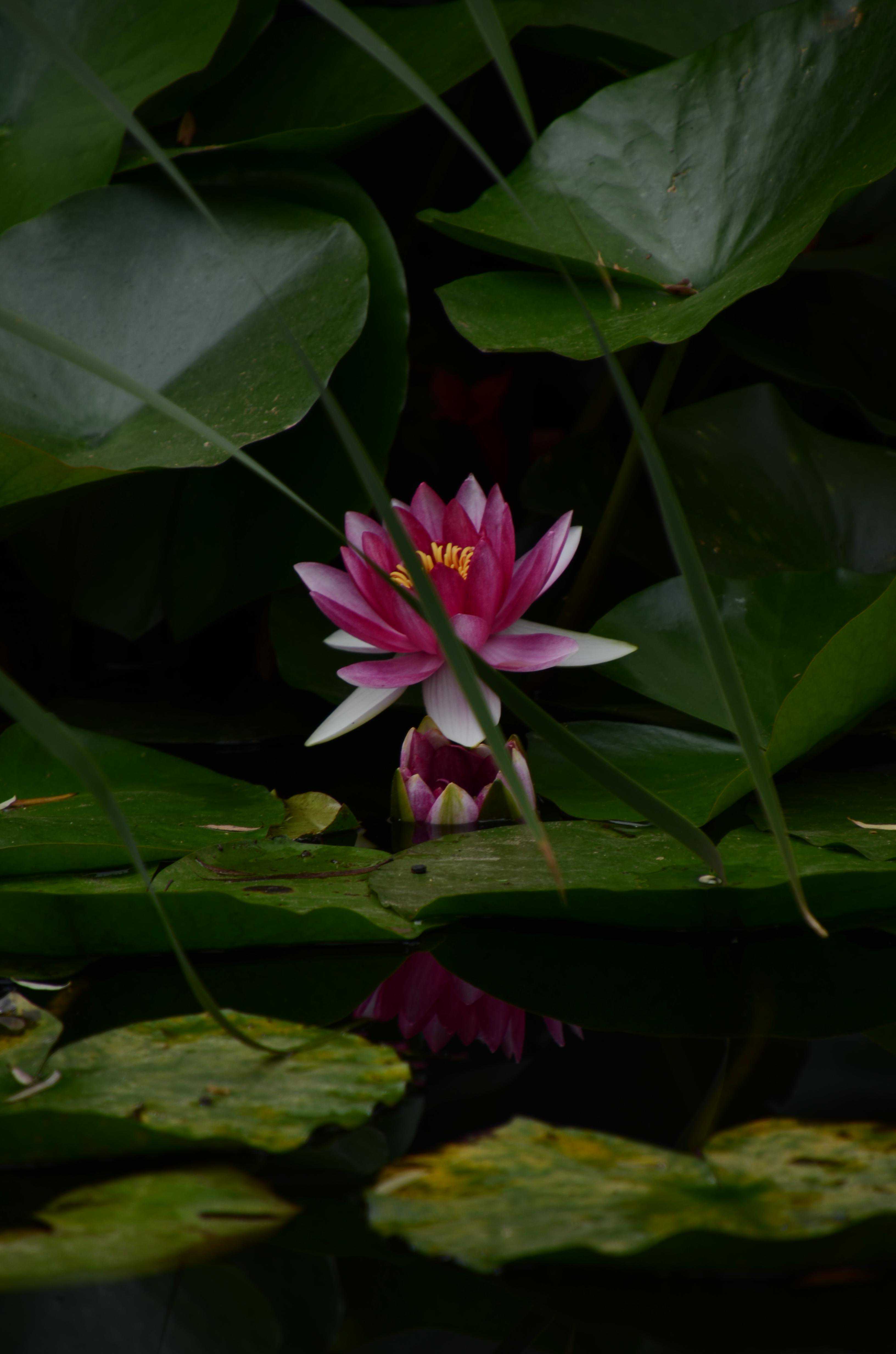 夏天过去了，你有没有给它“留个影”？