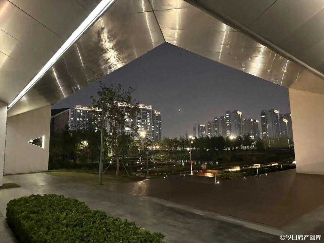 蟠龙这次真要跌下神坛？