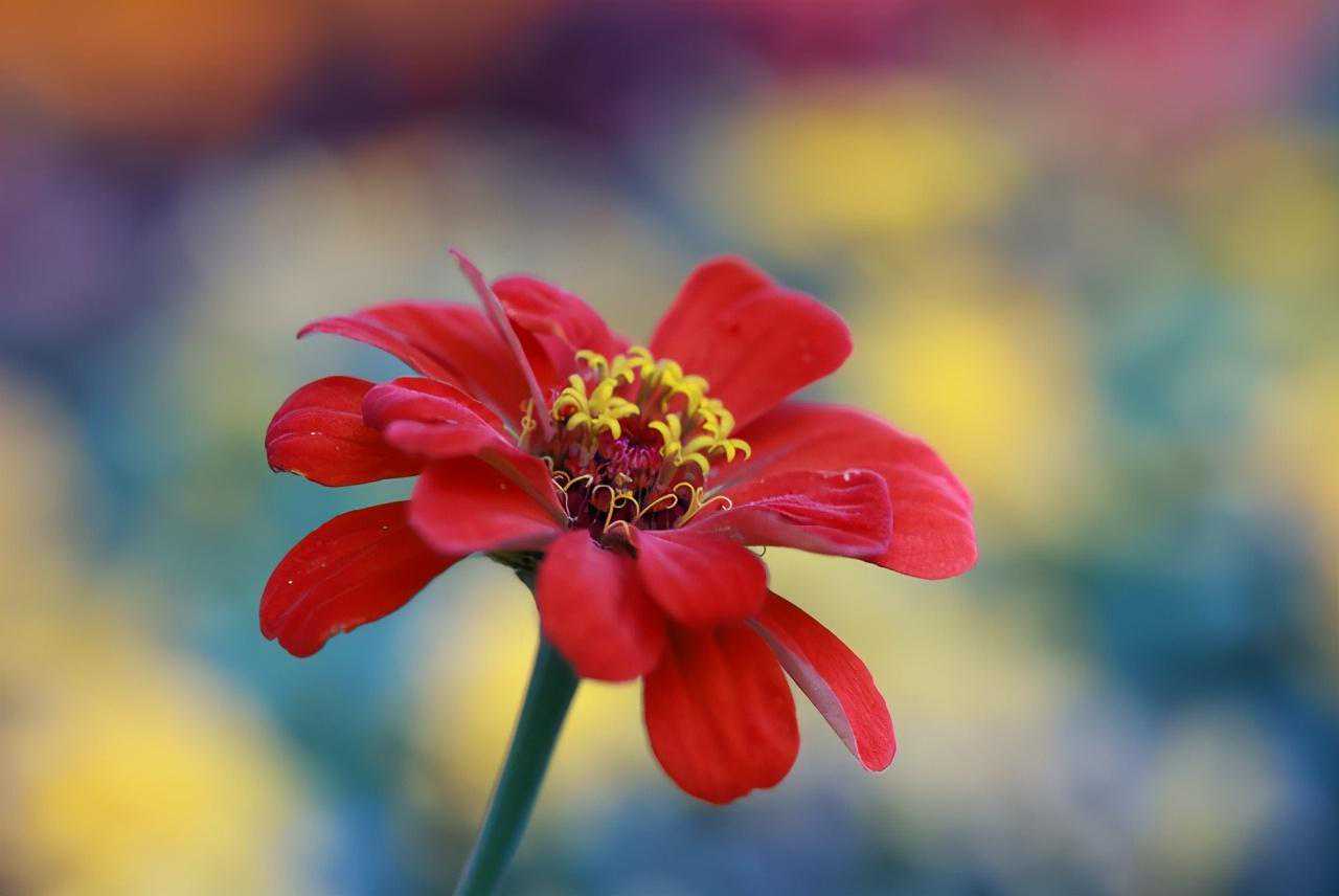 有了标准变焦镜头之后 你的第二支镜头怎么选？