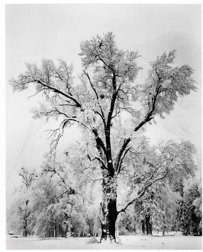 黑白风光的宗师——安塞尔亚当斯