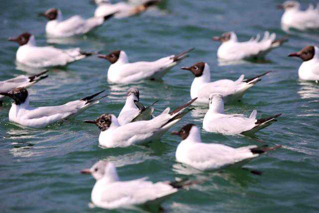 昆明婚纱照排名榜，昆明婚纱照拍婚纱照哪家比较好？