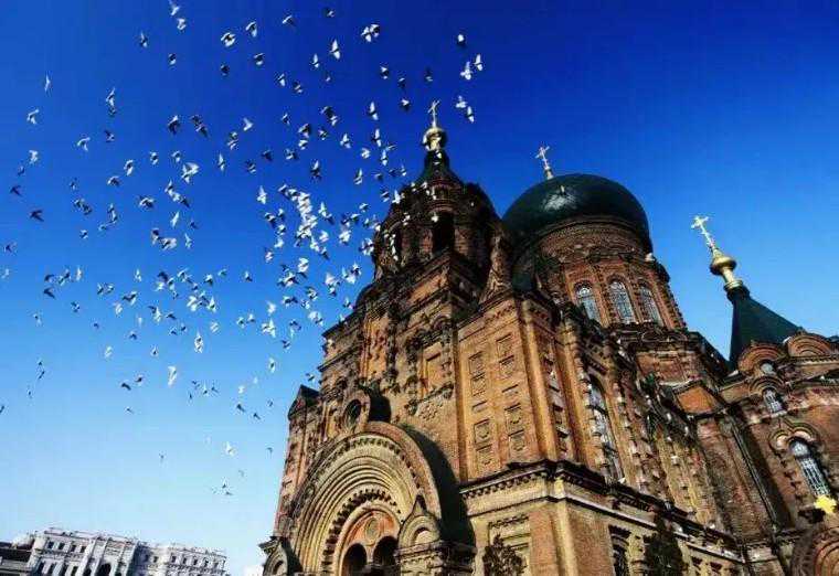 超出片！哈尔滨绝美拍照地图来了～