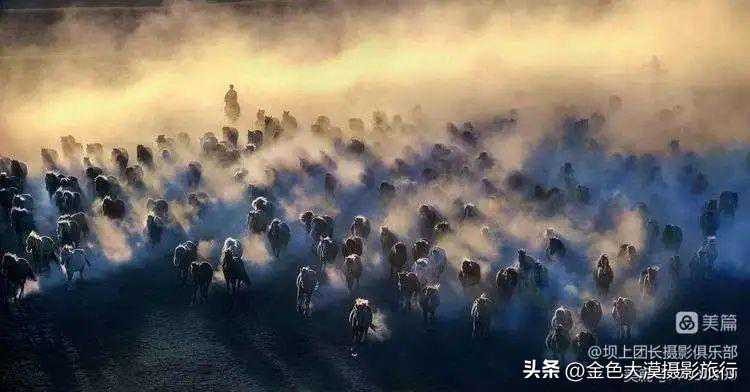 2023年第八届秋季坝上万马奔腾摄影团招募