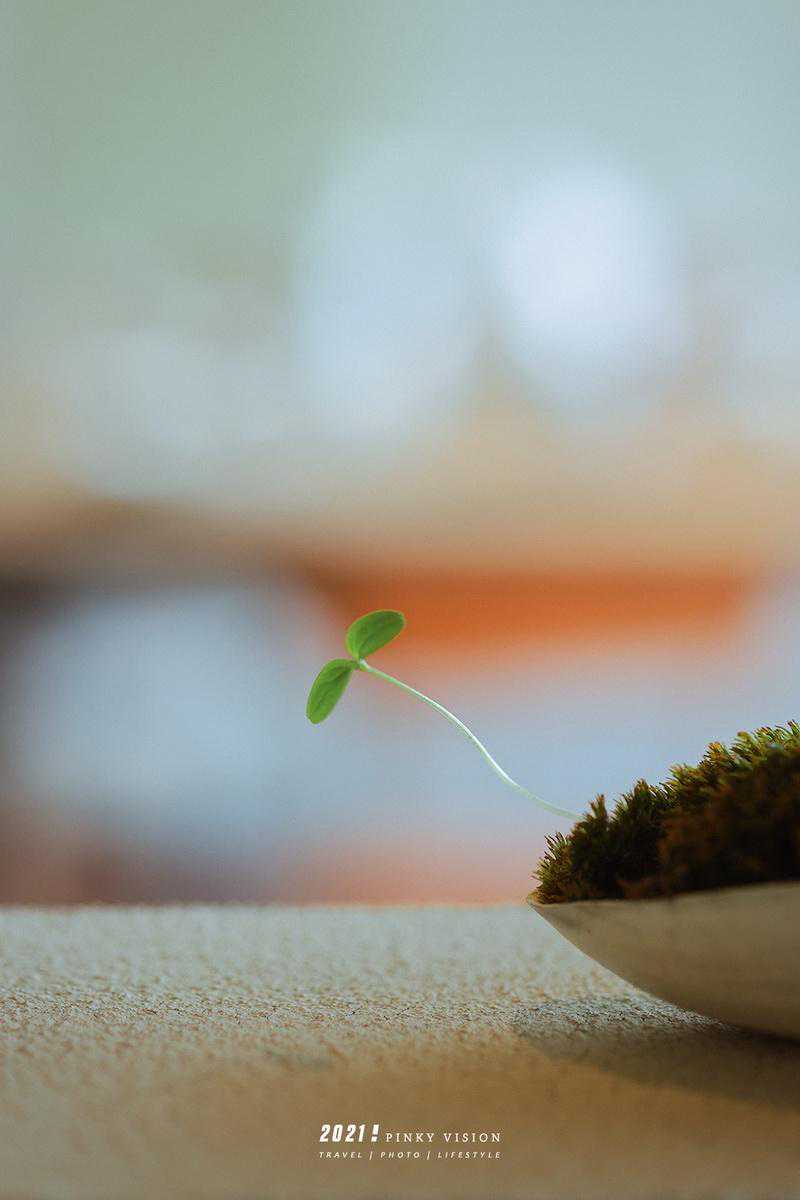 RF85 F2 IS微距 另类微距小炮体验