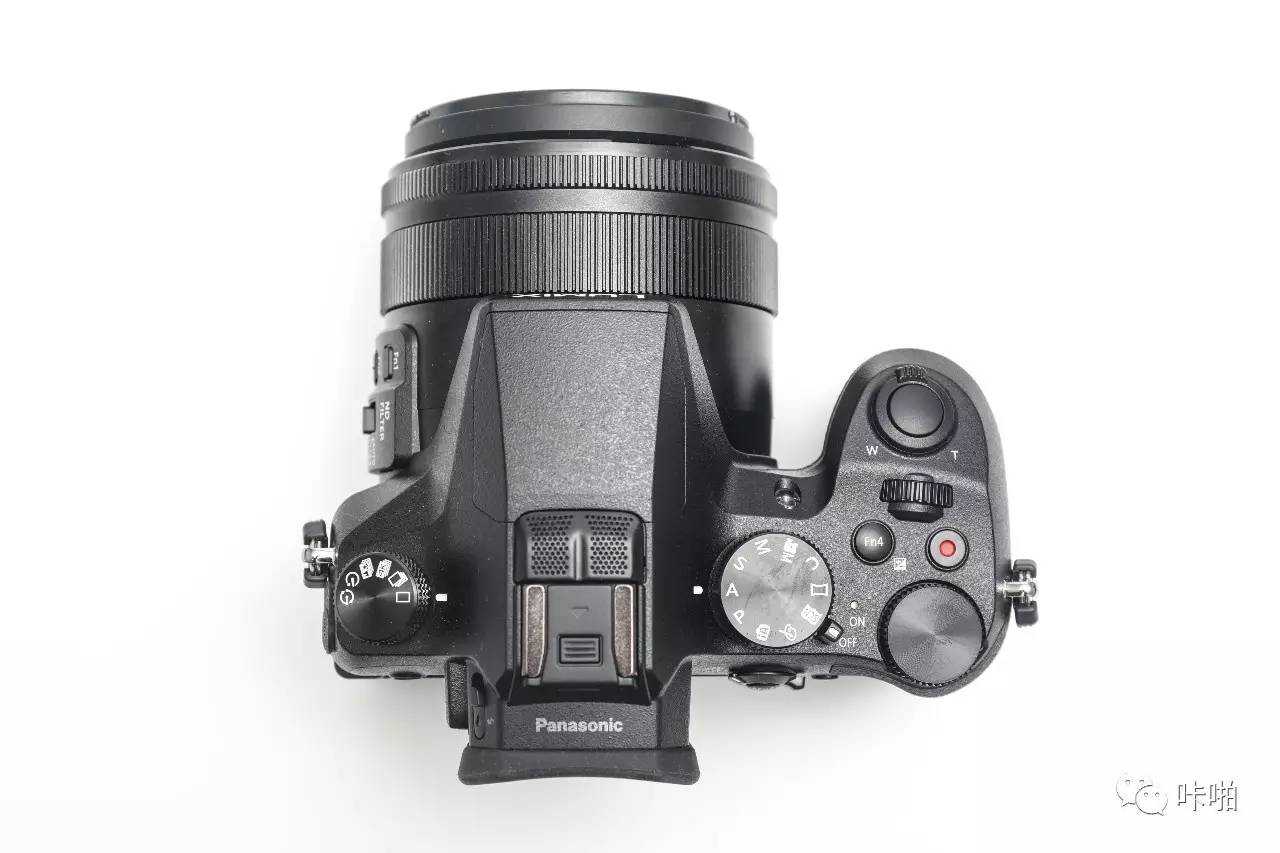 「动物园报告」松下1英寸长焦机FZ2500体验