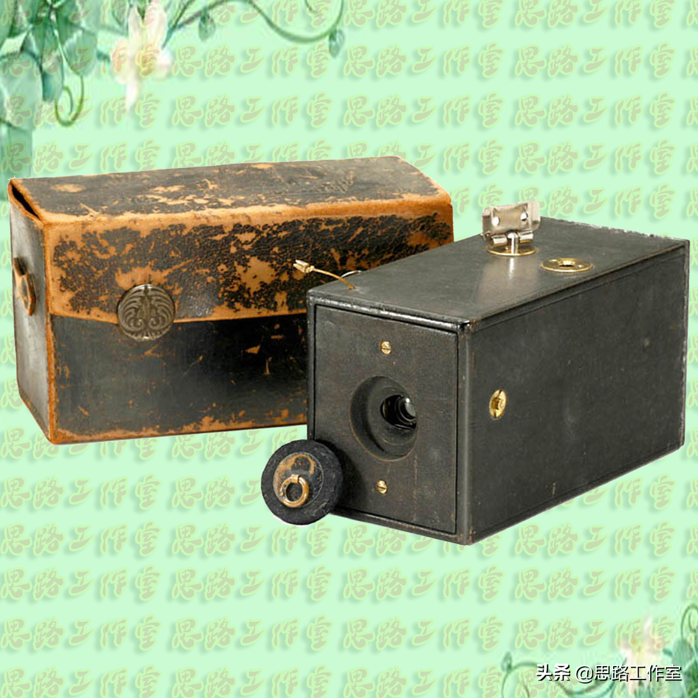 用过柯达胶卷,你用过柯达照相机吗 用过柯达胶卷,你用过柯达照相机吗