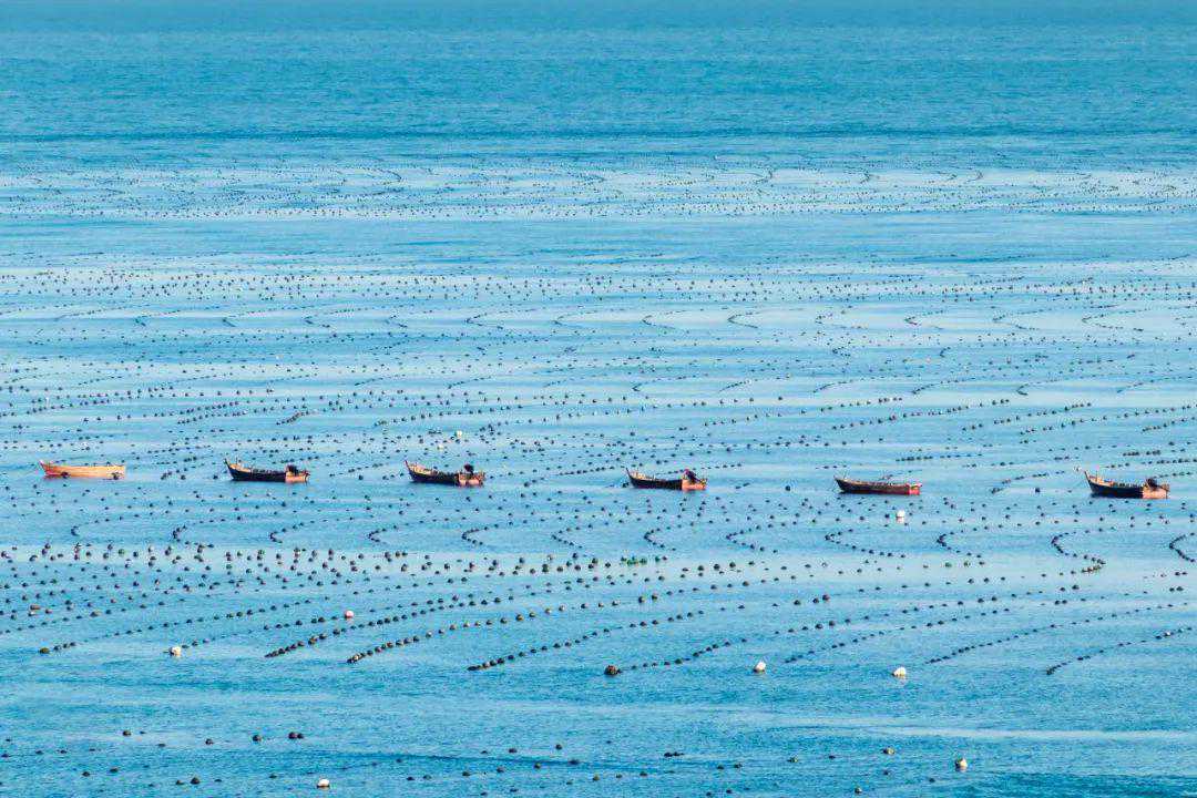 依海而生,向海而行,29岁摄影师拍摄海洋风景,张张大片展现蔚蓝魅力 依海而生,向海而行,29岁摄影师拍摄海洋风景,张张大片展现蔚蓝魅力
