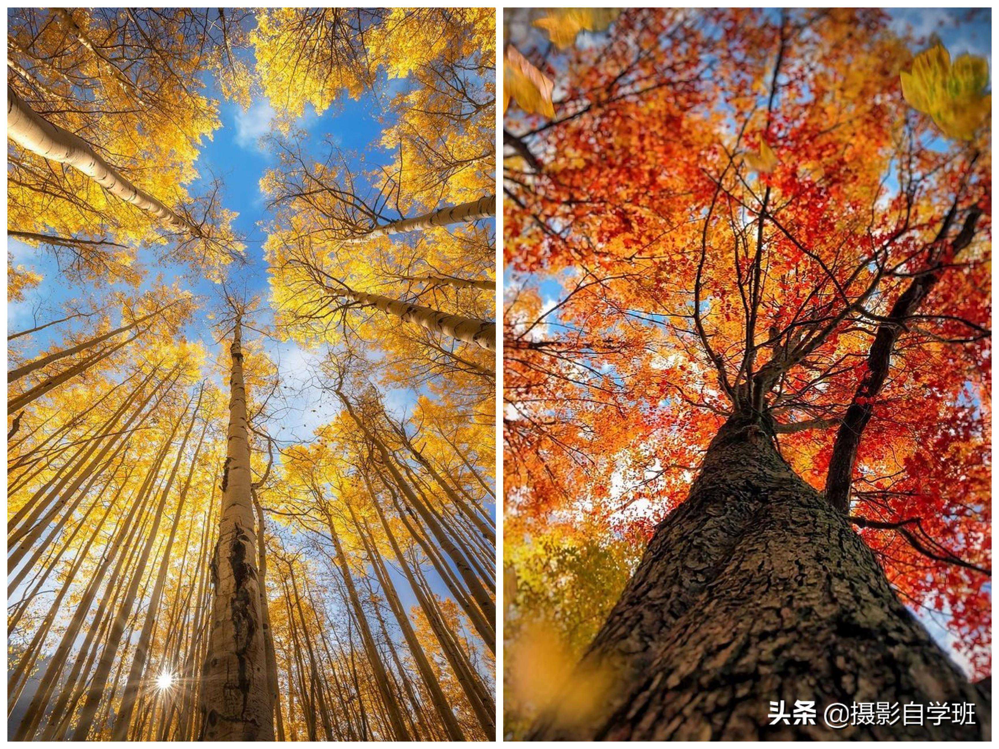 拍风景的10个摄影技巧，帮你拍出风景大片，普通风景也能拍好看