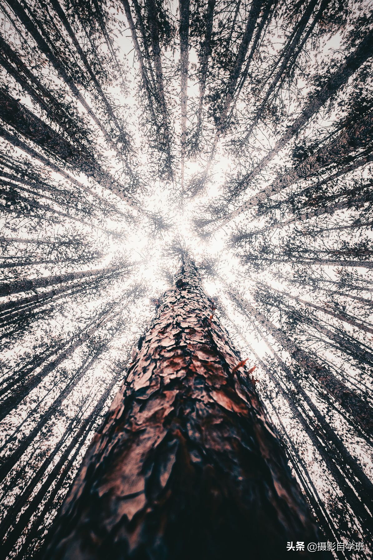 照片想有层次感，纵深感？3句口诀，囊括摄影前期和后期技巧