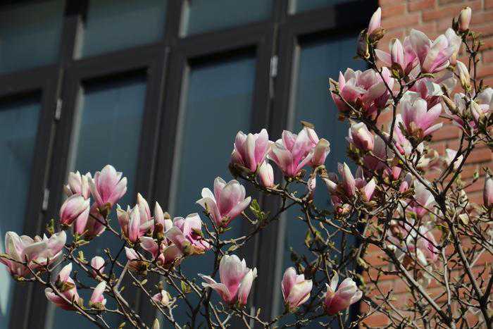 2420万像素+45点全十字 佳能EOS 80D评测