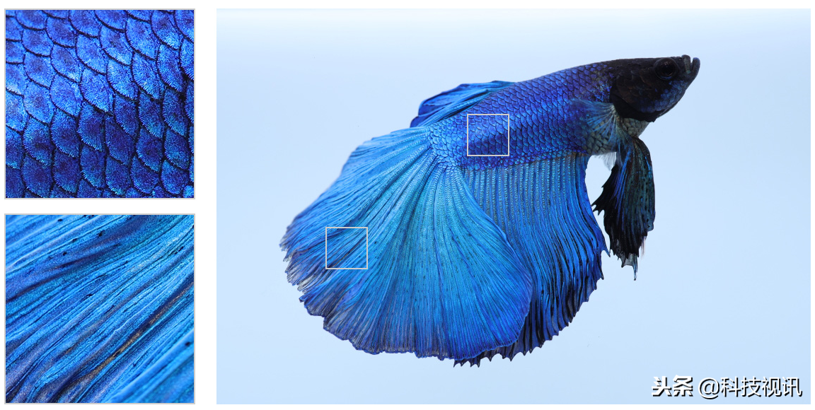 高素质精品,RF35mm F1.8 MACRO IS STM评测 高素质精品,RF35mm F1.8 MACRO IS STM评测