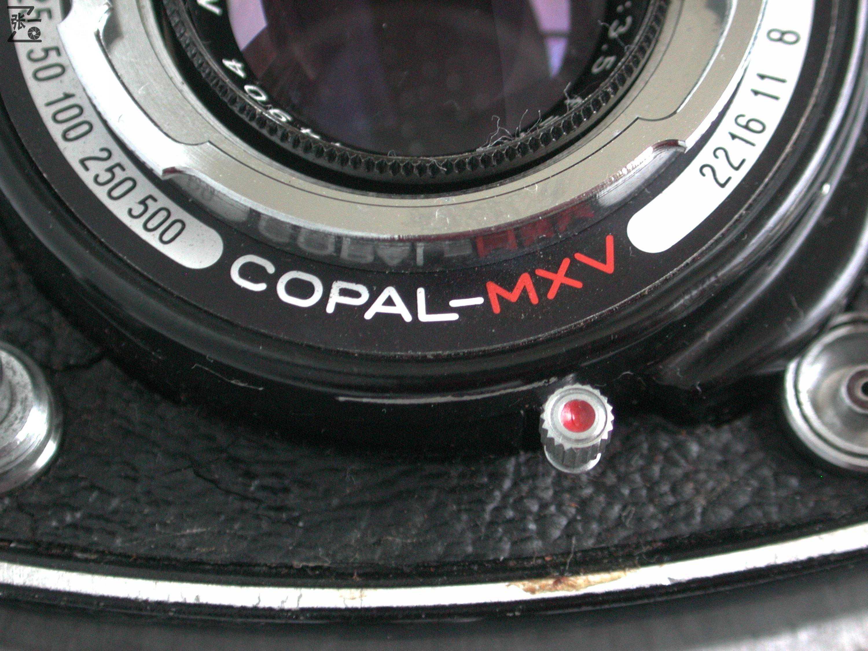 右手调焦的双反照相机：Walzflex IIIA！日本制造