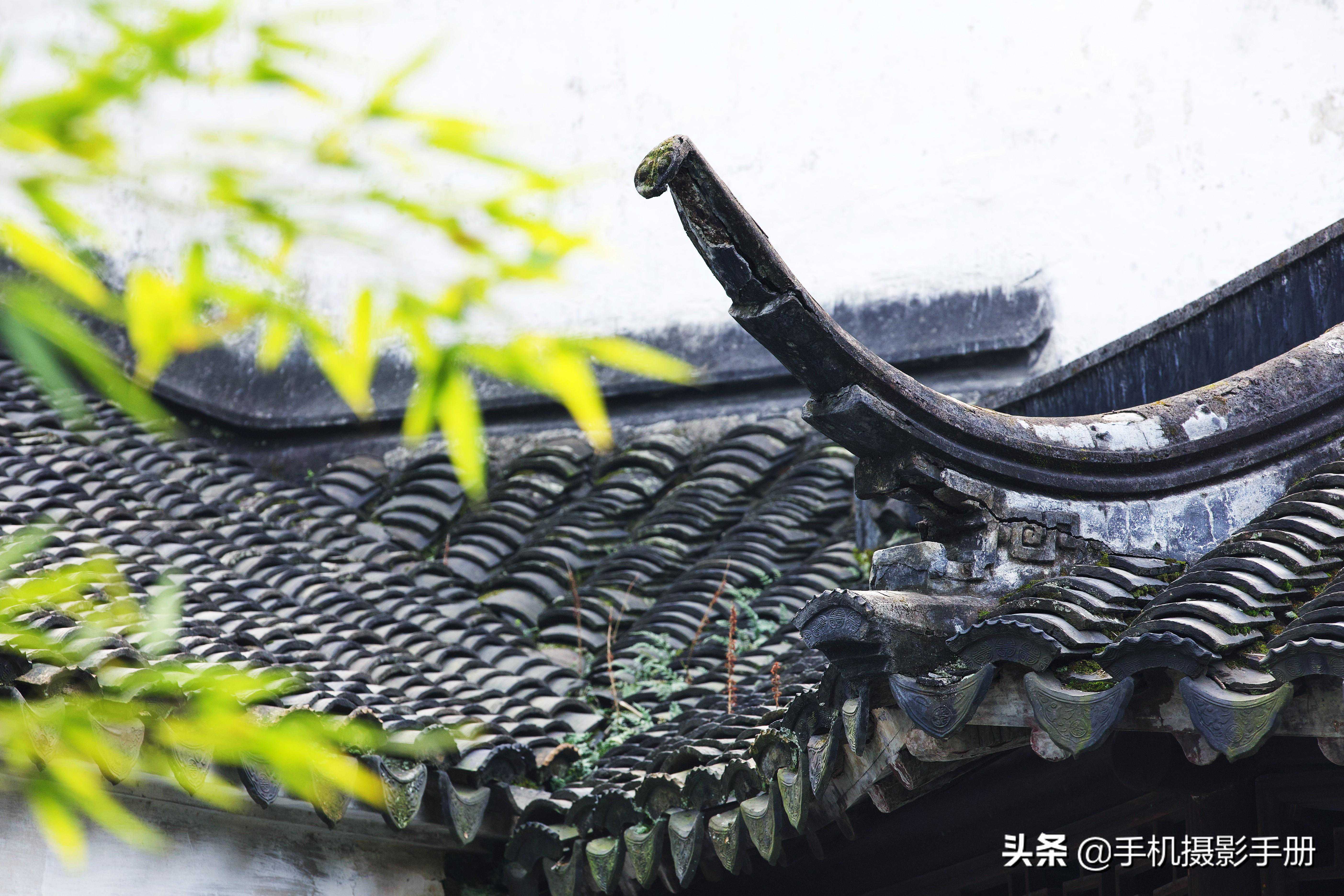 邂逅苏州，雅致的园林气息、温婉的江南美景