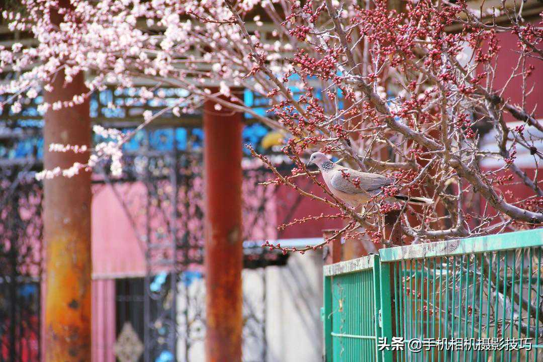 后期有多重要？一张本没救的照片，也能“整”出光影层次