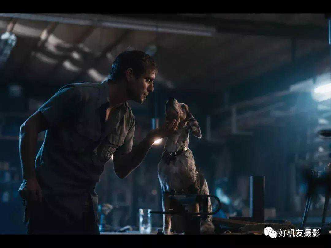 蔡司Batis 85mm F/1.8 婚礼人像摄影的最佳选择 蔡司Batis 85mm F/1.8 婚礼人像摄影的最佳选择