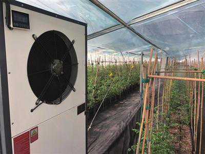 遮阳膜+空调+雾喷 镇海区首试越夏水果番茄种植