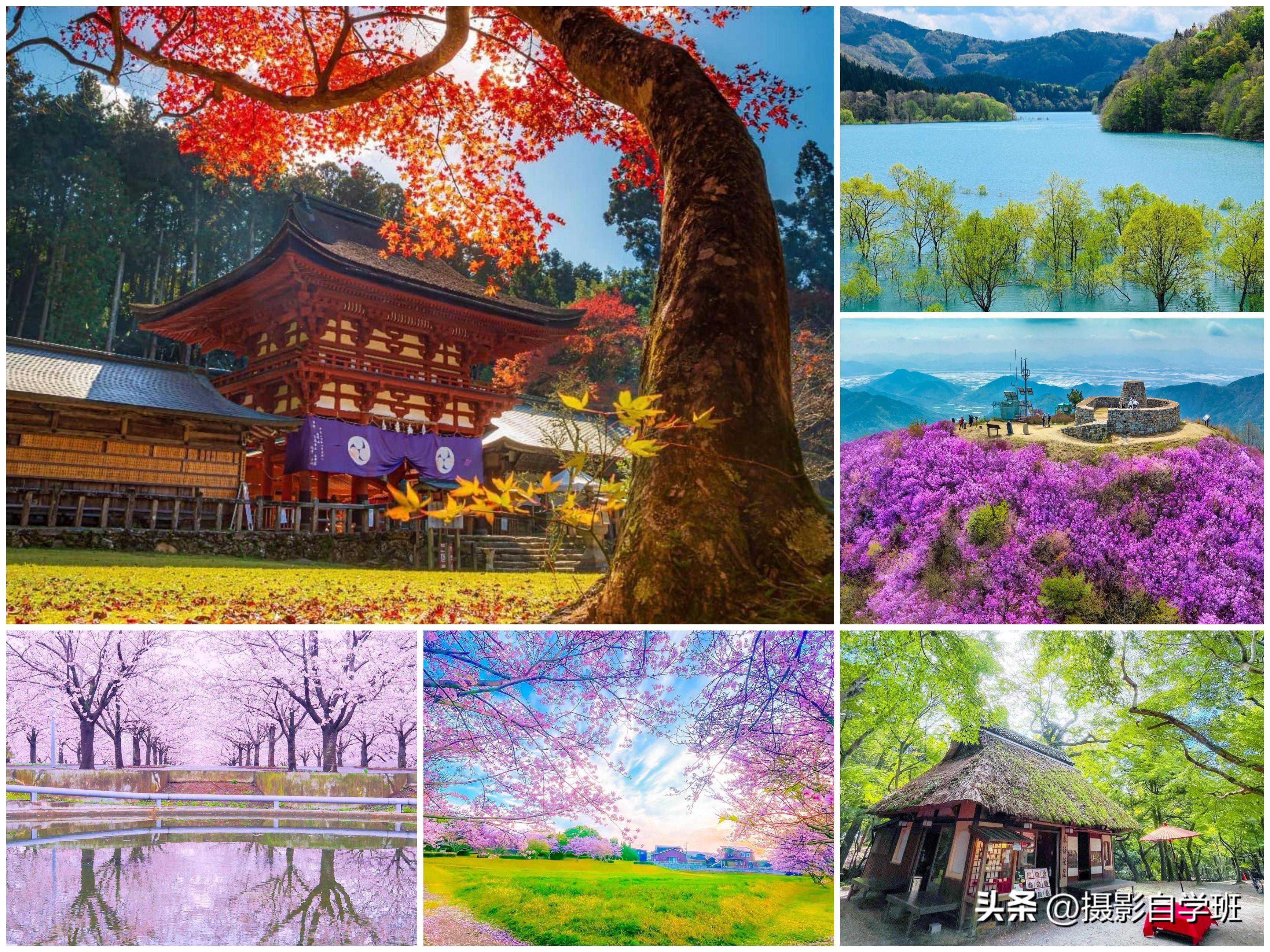 用摄影，让你平常生活变得不平常，生活摄影这么拍就对了