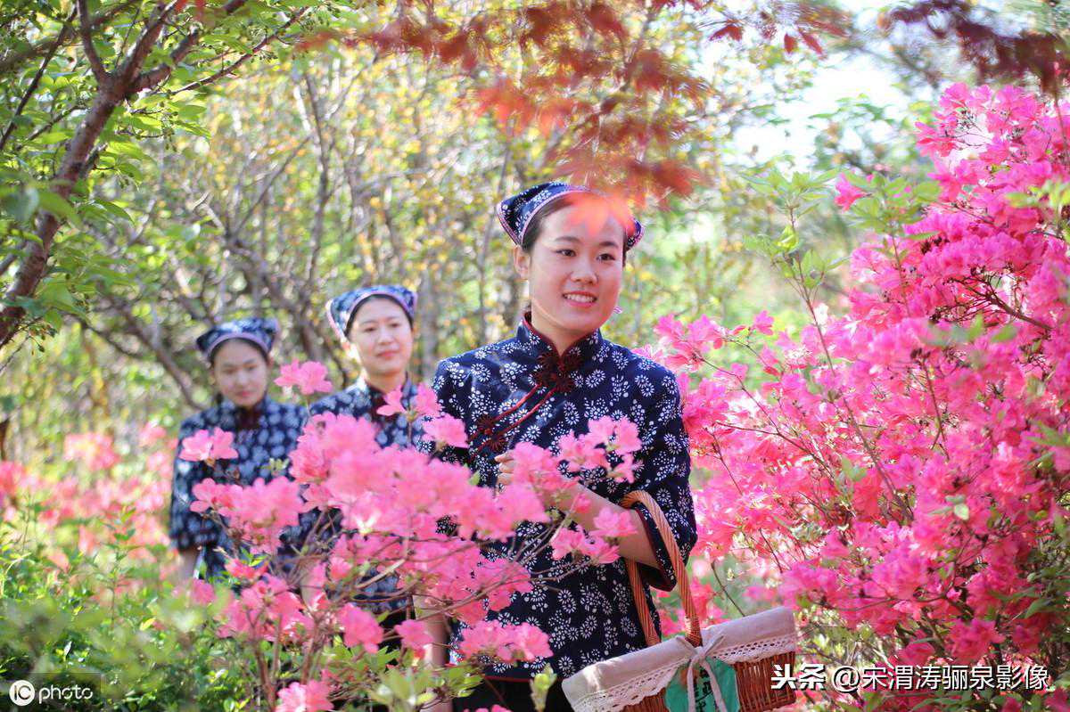 如何购买摄影器材,这里是关于“顶级”摄影器材的配置及评价 如何购买摄影器材,这里是关于“顶级”摄影器材的配置及评价