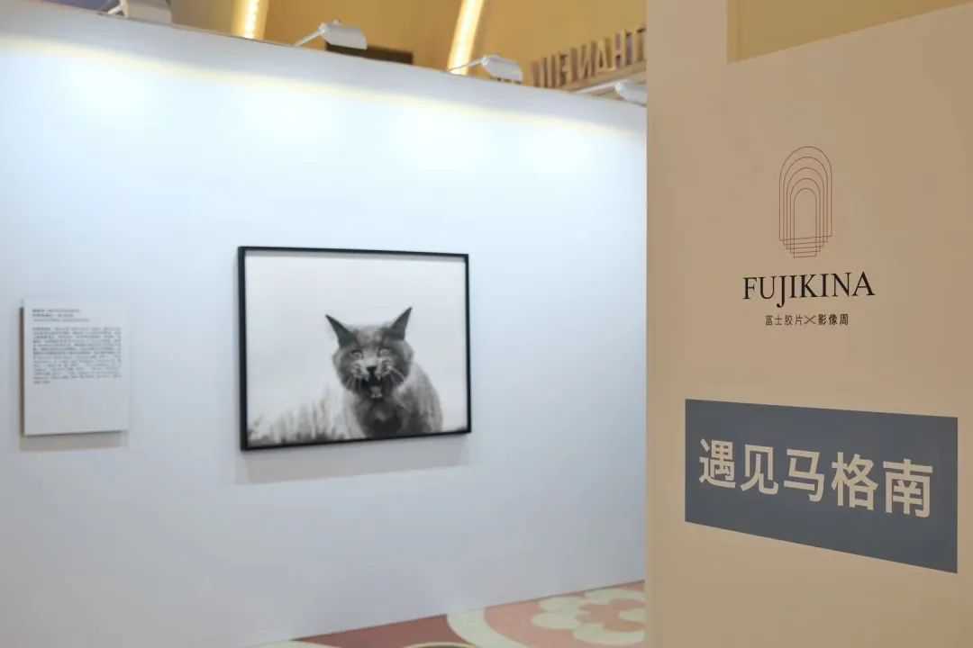 2023年富士最重磅线下活动：FUJIKINA 富士胶片影像周登陆上海