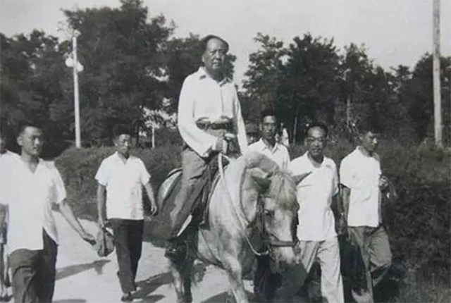 马夫侯登科：病故未告知，毛主席亲自祭拜，养的小青马死后成标本