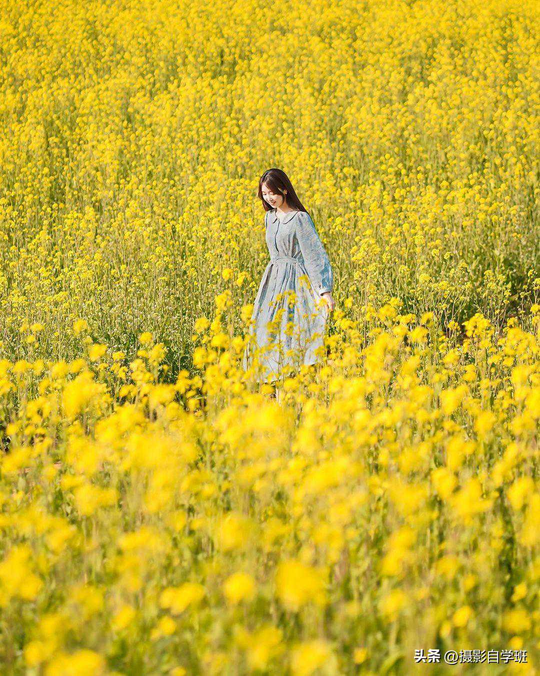 拍油菜花海人像照片的10个技巧，新手保存直接模仿