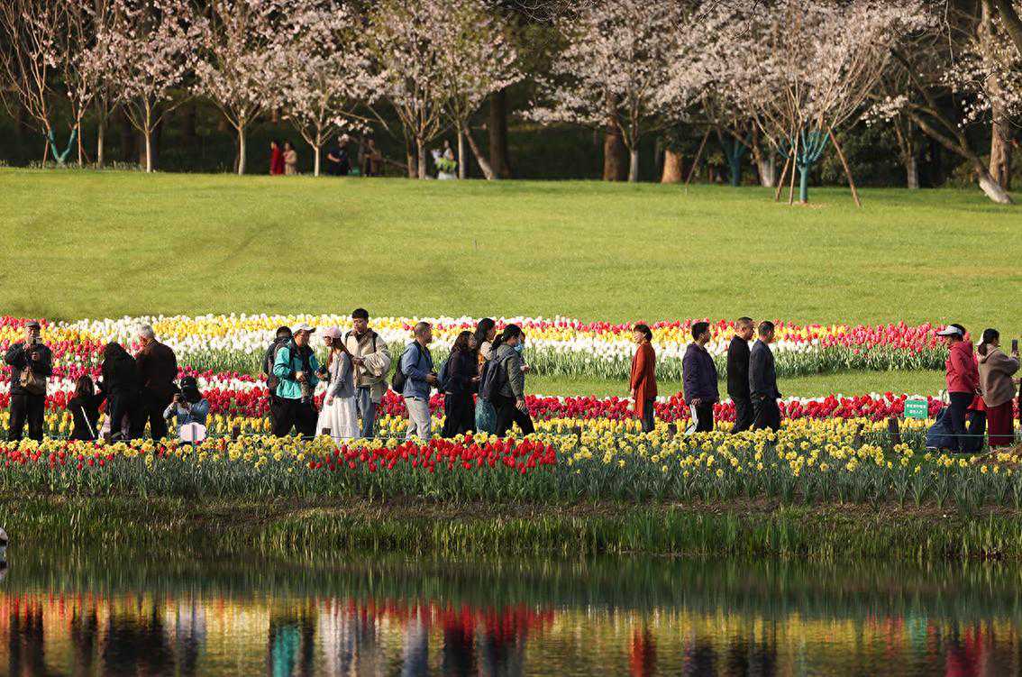 摄影人说她具有“莫奈油画”般的美丽，手机一拍就出大片
