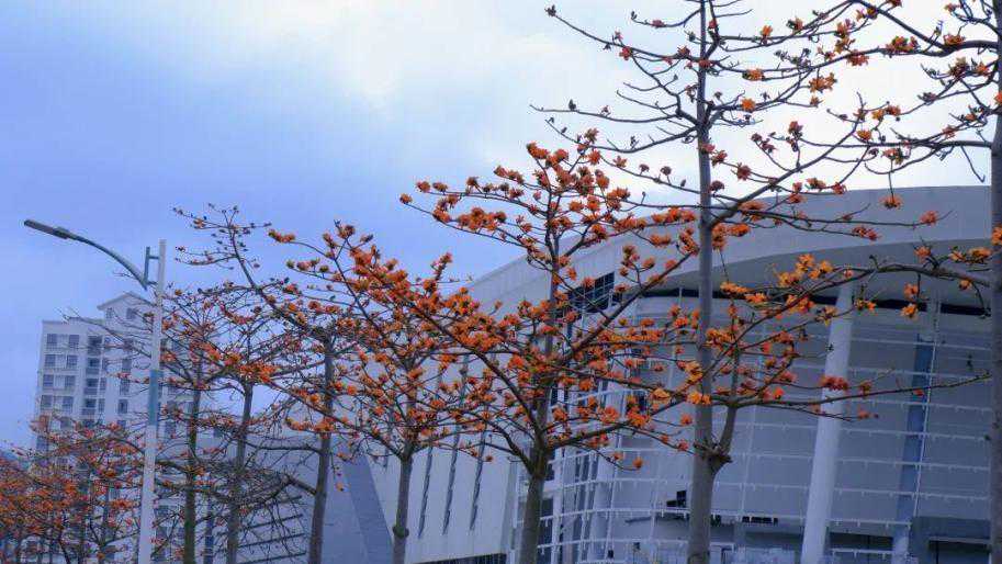 惊艳“校花”碰上海岛！一组来自海南的写真曝光，网友直呼高颜值