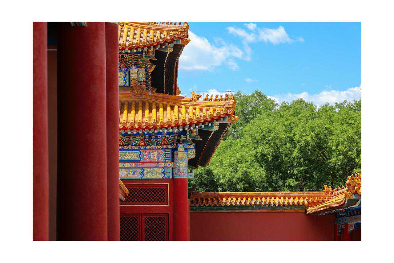 为什么我们需要RF 24-105mm F4-7.1 IS STM镜头