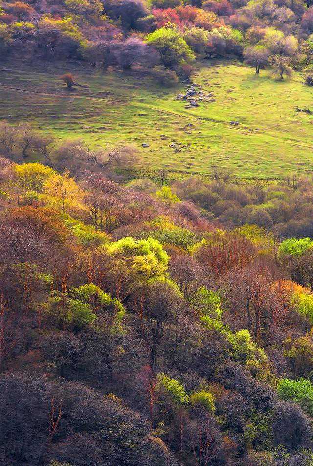 画质为王 为什么专业工作室都用中画幅相机？