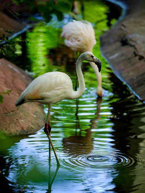 感受中画幅的极致魅力 富士GFX50S搭配GF250mm F4R镜头拍摄体验