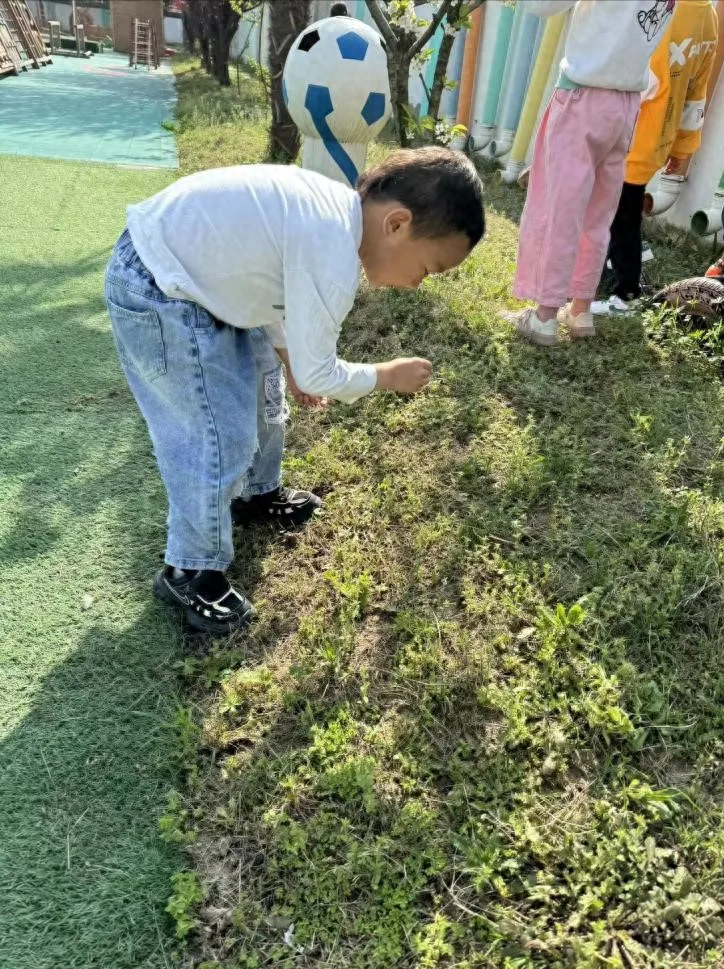阜阳阜南：小学生植物拓印来了——春光无限好、百花入画来