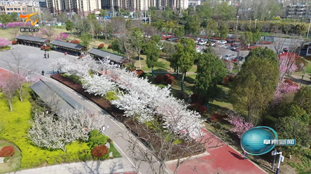 阜阳阜南：春暖风光好 胜日花争艳