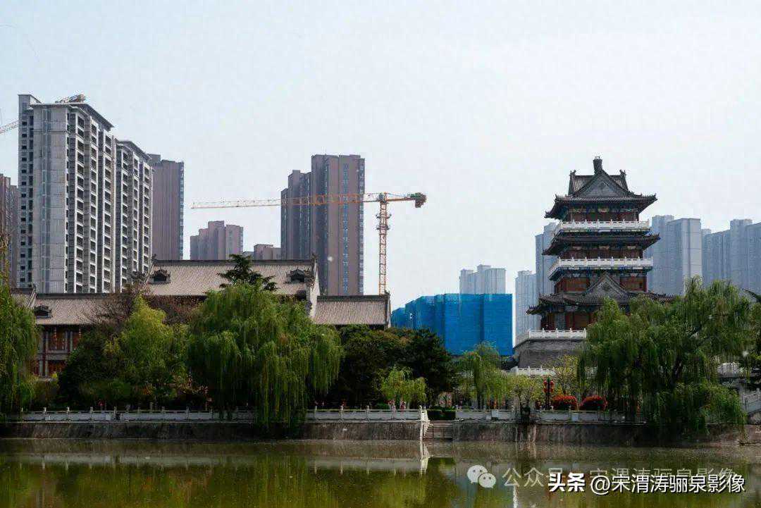 陕西渭南：沋河公园柳絮飞天 醉人春色等你来