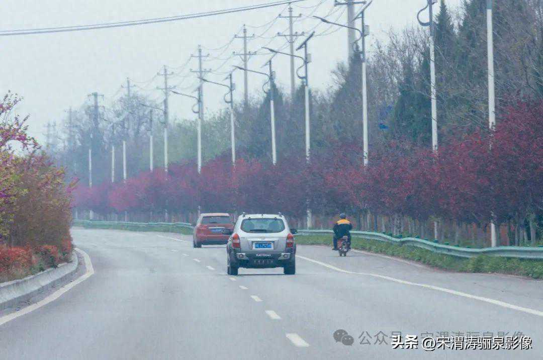 陕西渭南:清明节小长假关中见闻录 陕西渭南:清明节小长假关中见闻录