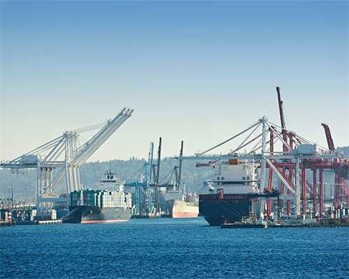 童博会打造岛城教育服务平台