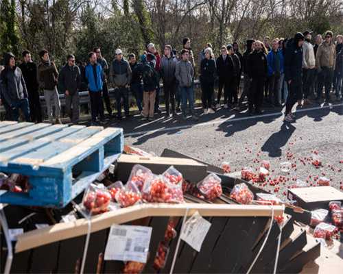 美国少女游赞比亚拿手机拍照，遭大象用象鼻打脸，笑翻百万人