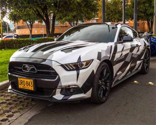 人体模特：黑白摄影的艺术魅力