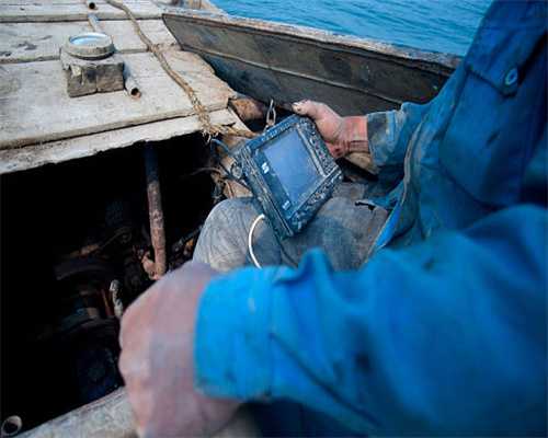 分子生物与遗传学专业，世界最好机构(大学)学术水平 2020年1月版