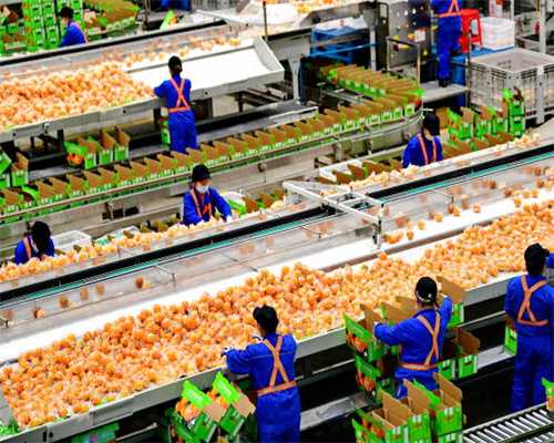 促销充值、变更法人、卷款关门……机构跑路背后的“职业闭店人”